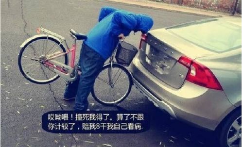 故意被汽车撞死赔多少 故意被汽车撞死赔多少