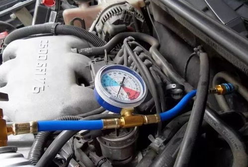汽车雪种油加多少 汽车雪种油加多少