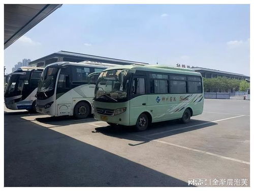 利辛汽车站电话是多少 利辛汽车站电话是多少