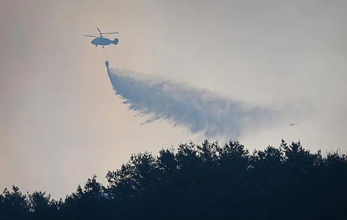 韩国宣布多地进入灾难状态 韩国宣布多地进入灾难状态