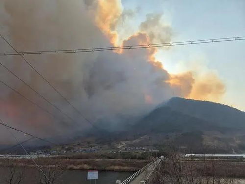 韩国宣布多地进入灾难状态 韩国宣布多地进入灾难状态