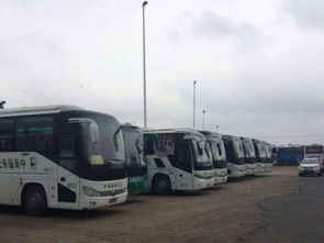 深圳布吉有多少辆汽车 深圳布吉有多少辆汽车