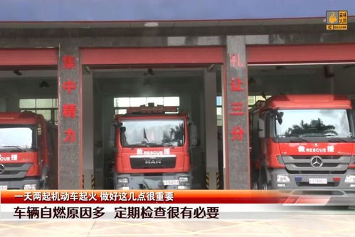 深圳布吉有多少辆汽车 深圳布吉有多少辆汽车