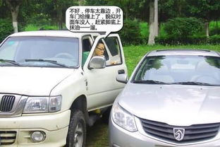 汽车年险多少钱 汽车年险多少钱