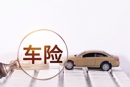 汽车年险多少钱 汽车年险多少钱
