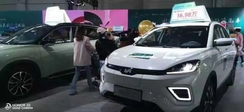 威宁电动汽车有多少辆车 威宁电动汽车有多少辆车