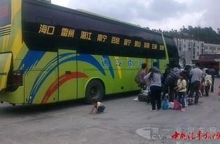 海南汽车过渡多少钱