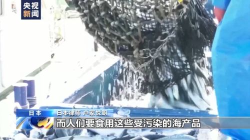 船长在公海被杀害抛海?警方回应 船长在公海被杀害抛海?警方回应