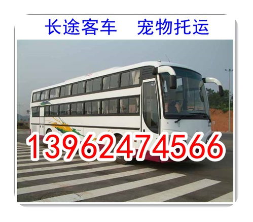 周口到李寨汽车多少钱 周口到李寨汽车多少钱