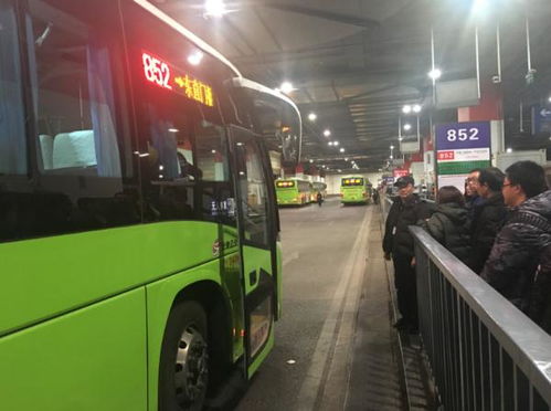 老年团挤不上公交拦路要求加车 老年团挤不上公交拦路要求加车