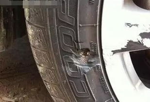 补汽车轮胎多少钱 补汽车轮胎多少钱