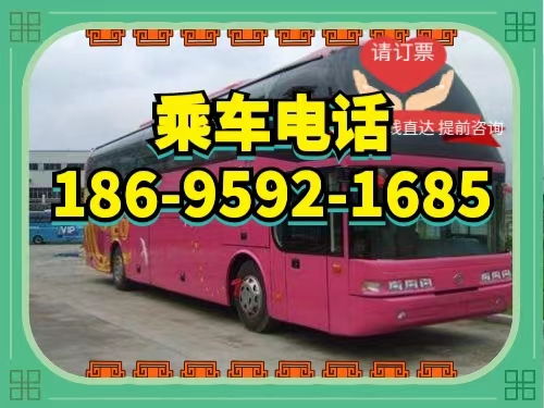南阳到洛阳汽车多少钱 南阳到洛阳汽车多少钱