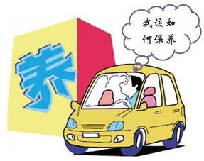 汽车保养投资多少合适 汽车保养投资多少合适