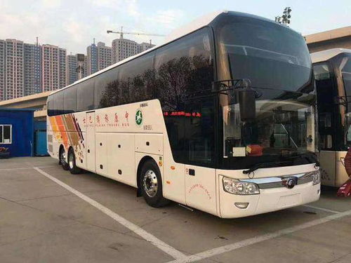 乘汽车最多能带多少饮料 乘汽车最多能带多少饮料