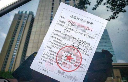 汽车罚单交多少钱啊 汽车罚单交多少钱啊