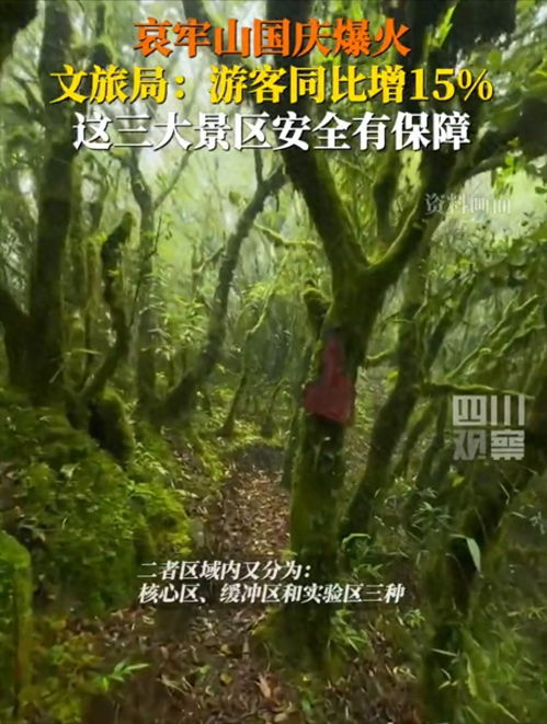 安徽网红树被农户砍掉?当地回应 安徽网红树被农户砍掉?当地回应