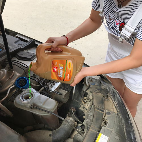 汽车更换冷冻液多少钱 汽车更换冷冻液多少钱