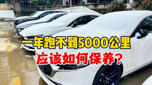 汽车有多少公里不用洗车 汽车有多少公里不用洗车