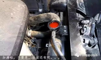 换汽车水箱多少钱 换汽车水箱多少钱