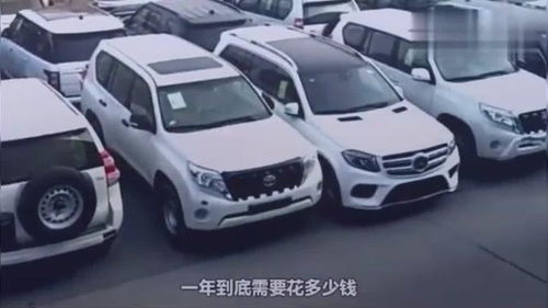 养汽车一年要多少钱