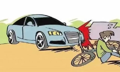 汽车碰到猪头赔多少钱 汽车碰到猪头赔多少钱
