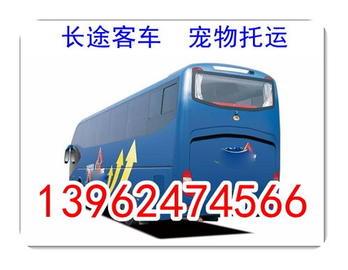 泰安汽车补贴多少钱
