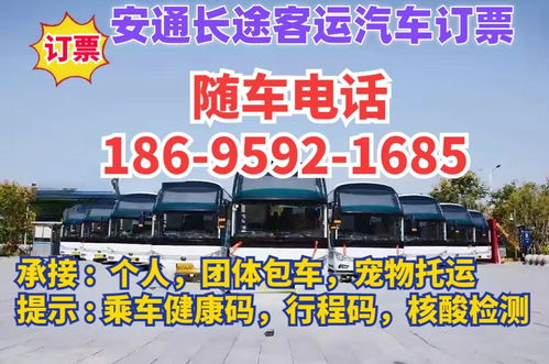 仁寿到江门汽车票多少 仁寿到江门汽车票多少