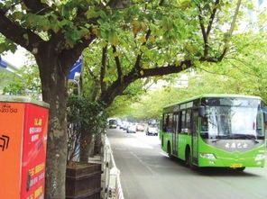 安顺市西秀区有多少汽车 安顺市西秀区有多少汽车