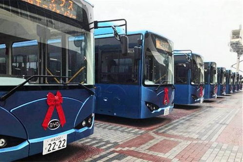公共汽车有多少辆车 公共汽车有多少辆车