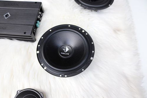 汽车扬声器最小多少 汽车扬声器最小多少