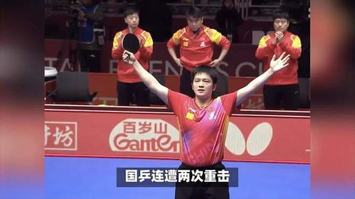 樊振东 王曼昱等拟获国家级表彰 樊振东 王曼昱等拟获国家级表彰