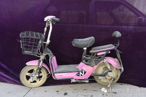 阳谷电动汽车有多少