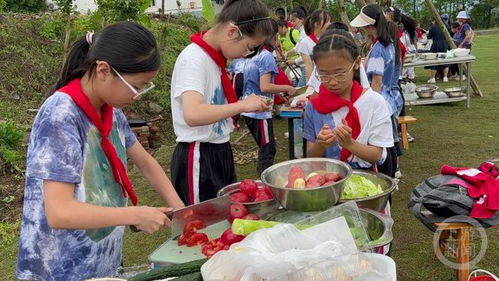 小学生背锅碗瓢盆徒步4公里春游野炊