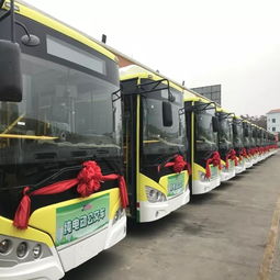 开封有多少辆公交汽车 开封有多少辆公交汽车