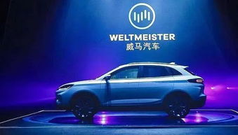 豆丁汽车多少钱 豆丁汽车多少钱
