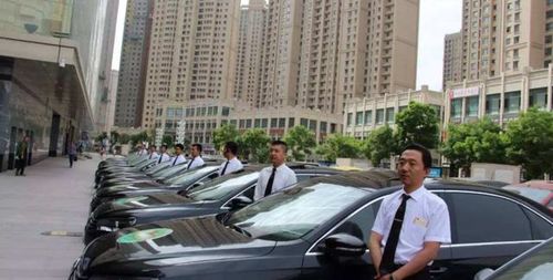 洮南市私家汽车数量多少 洮南市私家汽车数量多少