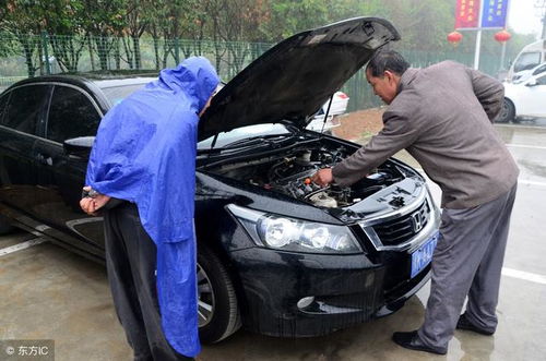 汽车外迁需要多少费用 汽车外迁需要多少费用