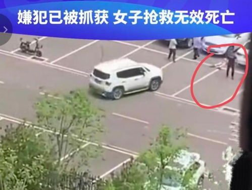 男子开车反复碾压他人致其身亡 男子开车反复碾压他人致其身亡
