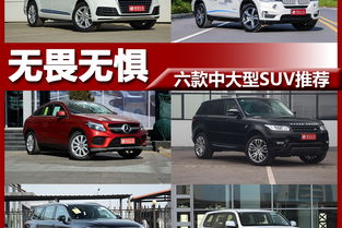 上海凤凰汽车收入多少