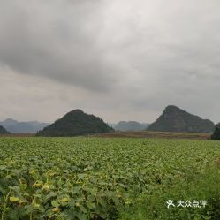罗平到师宗汽车多少钱