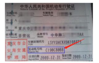 怎样查汽车终端号是多少 怎样查汽车终端号是多少