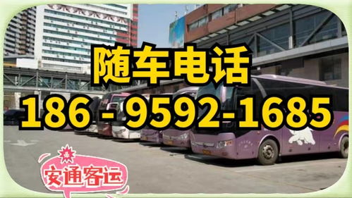 聊城到郧县汽车多少钱