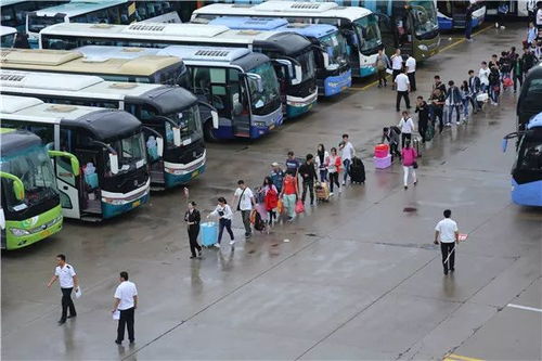 黄岛汽车总站占地多少 黄岛汽车总站占地多少