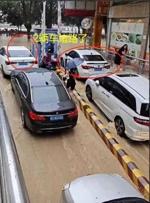 广东车辆有多少台汽车 广东车辆有多少台汽车