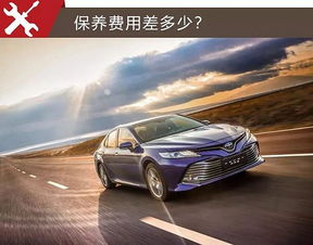 雅阁汽车保养多少钱 雅阁汽车保养多少钱