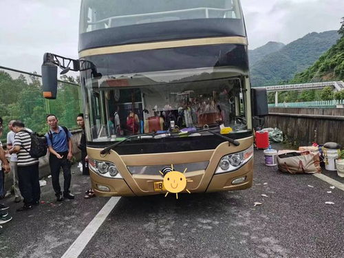 绵阳至宁波汽车电话多少 绵阳至宁波汽车电话多少