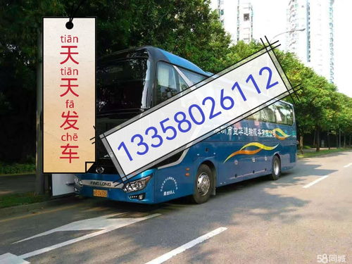 禄丰到元谋汽车多少钱