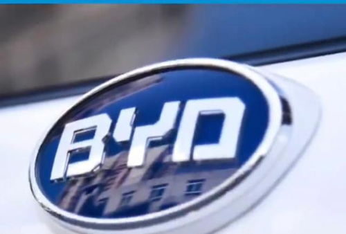 深圳比亚迪汽车工资多少 深圳比亚迪汽车工资多少