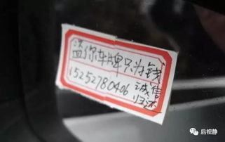 汽车补办车牌多少钱 汽车补办车牌多少钱