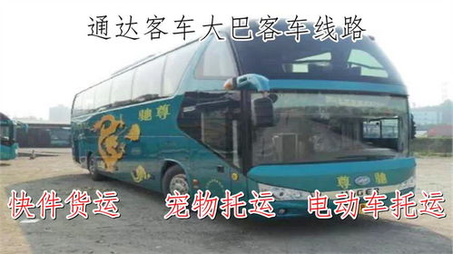 上海到烟台汽车多少钱 上海到烟台汽车多少钱